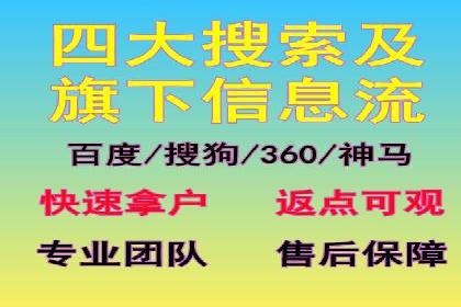 SEM专员案例：数据分析与优化